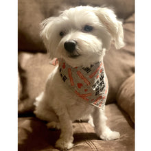 Load image into Gallery viewer, Don’t Go Bacon My Heart | Dog Bandana | Grey
